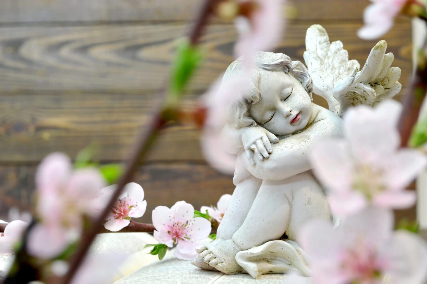 A statue of an angel with pink flowers in the background.