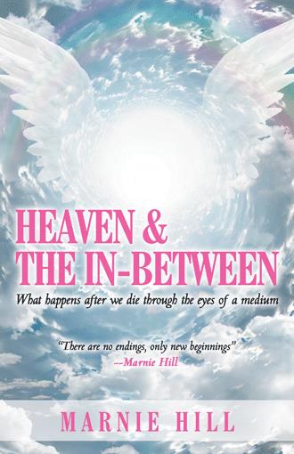 A book cover with the title of " heaven and the in-between ".